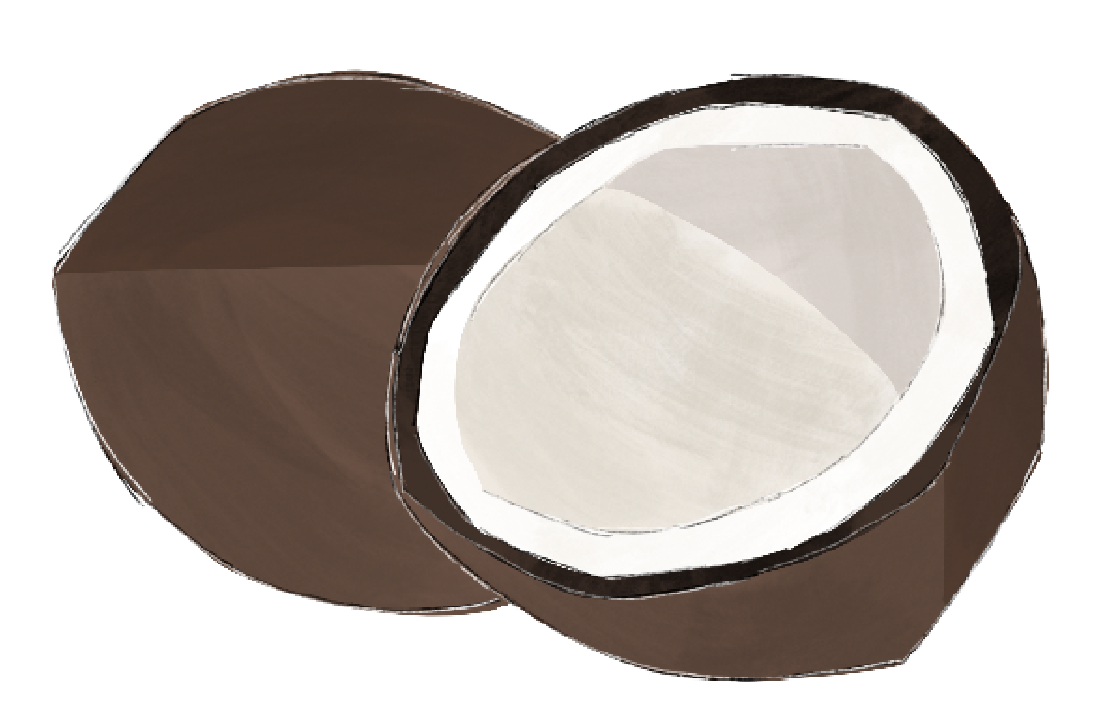 Coconut